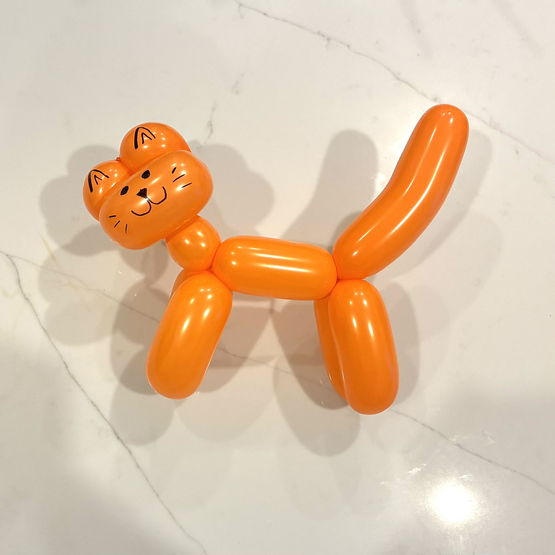 Cat balloon
